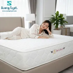 Sản phẩm 250_2373_nem_lo_xo_da_nang_chinh_hang_dana_pacific — Công Ty TNHH Keitee — MST 0402074474