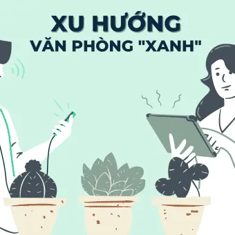Sản phẩm thue van phong da nang van phong xanh 340x340 — Công Ty TNHH Office Danang — MST 0402084426