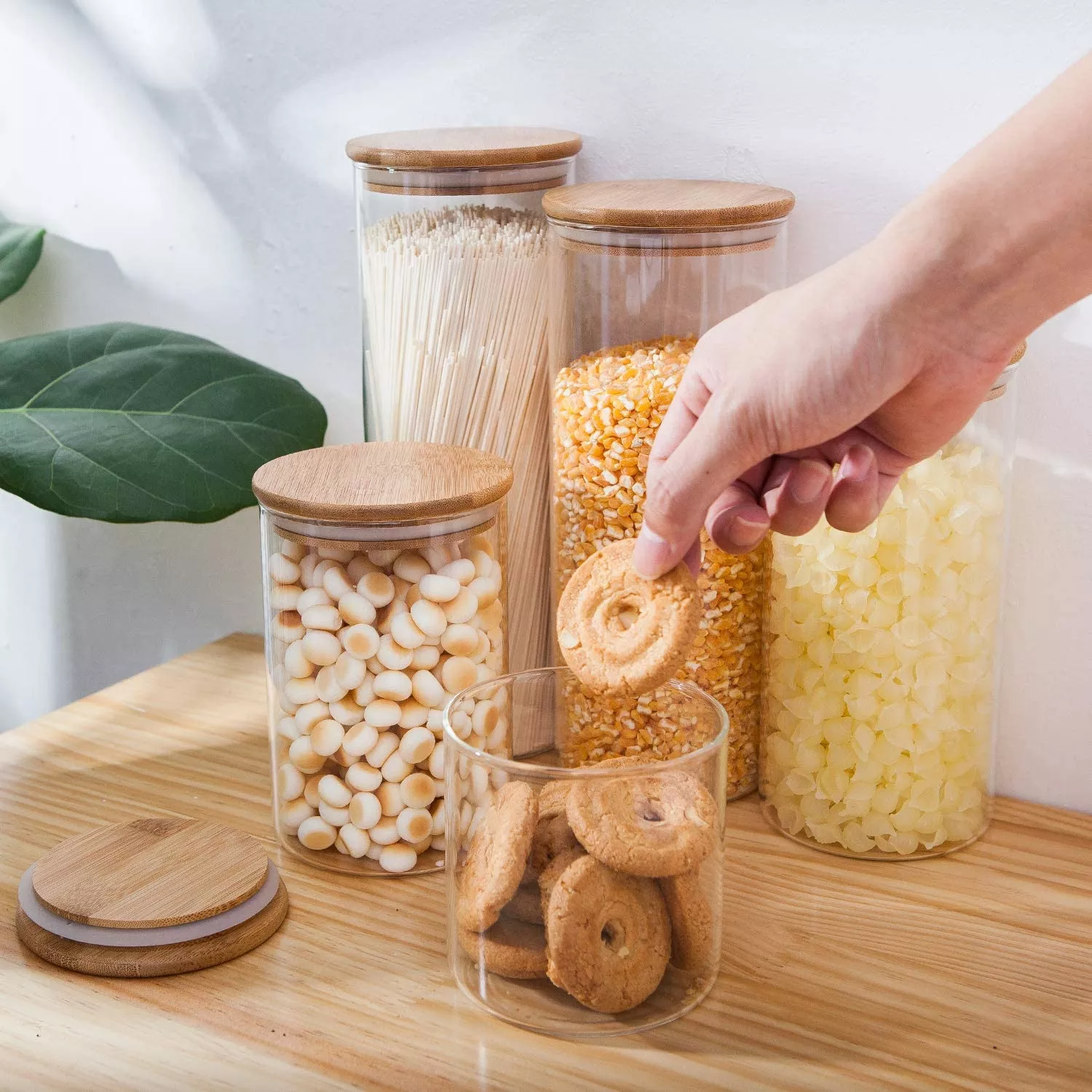 Sản phẩm lo thuc pham 01_9 — Công Ty TNHH Thương Mại MIGA Việt Nam — MST 0402099239