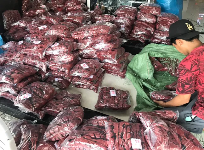 Sản phẩm 14 — Bảo Hộ Lao Động Trang Đạt - Công Ty TNHH TMDV BHLĐ Trang Đạt — MST 0402151802