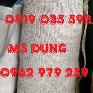 Sản phẩm dd34ef4bb73e52600b2f 300x300 — Lưới An Toàn Và Dây Thừng - Công Ty TNHH Sản Xuất Và Thương Mại Quang Phụng — MST 0500555391