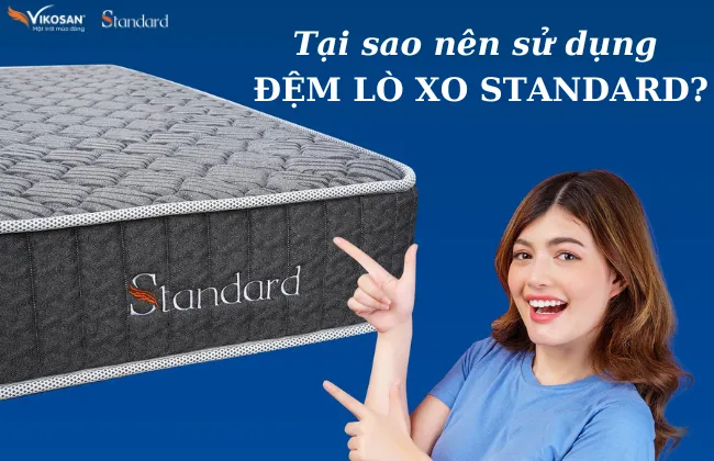 Sản phẩm thiet ke chua co ten 1_5910_HasThumb — Công Ty TNHH Sản Xuất Thương Mại Vikosan — MST 0500571026