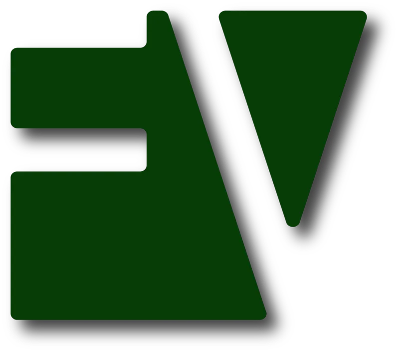 Logo Công Ty TNHH FV