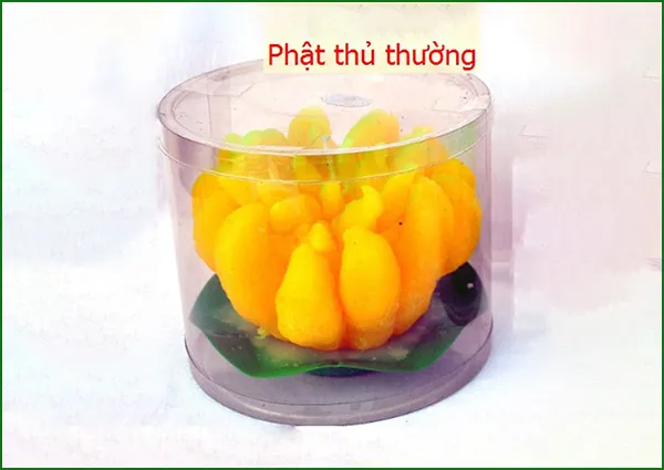 Sản phẩm Sen — Nến Duy Linh - Công Ty TNHH Duy Linh — MST 0600387408