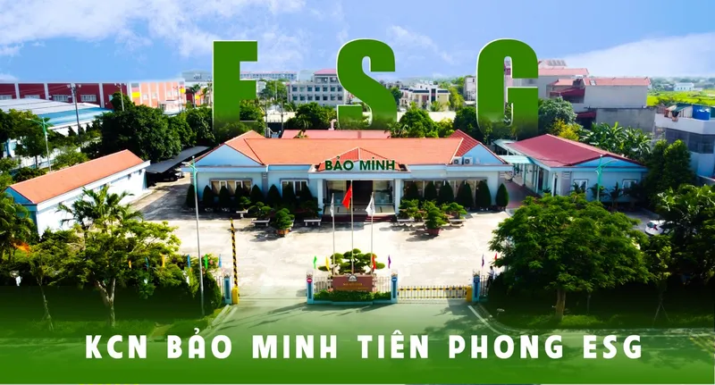 Sản phẩm Baner Large — Công Ty Cổ Phần Đầu Tư VINATEX — MST 0600389814