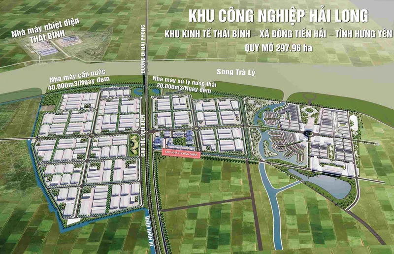 Sản phẩm Phoi canh Hai Long scaled — Công Ty Cổ Phần Đầu Tư VINATEX — MST 0600389814