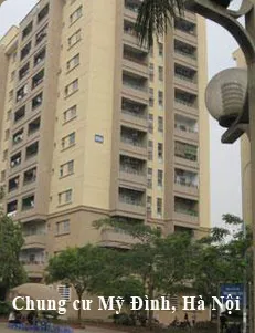 Sản phẩm s2 — Công Ty TNHH M.B.B — MST 0601070227