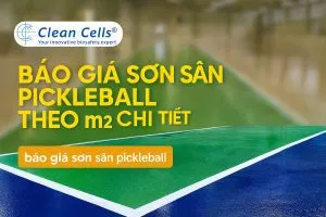 Sản phẩm thumbnail bao gia son san pickleball theo m2 chi tiet 300x200 — Vệ Sinh Công Nghiệp Hoàng Anh Nam Định - Công Ty TNHH Một Thành Viên Vệ Sinh
Công Nghiệp Hoàng Anh — MST 0601075514