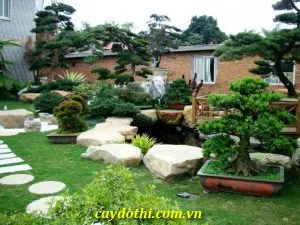 Sản phẩm Tiểu cảnh sân vườn 1 300x225 — Công Ty TNHH Cây Xanh Công Trình — MST 0601157679
