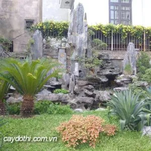 Sản phẩm Tiểu cảnh đá 300x300 — Công Ty TNHH Cây Xanh Công Trình — MST 0601157679