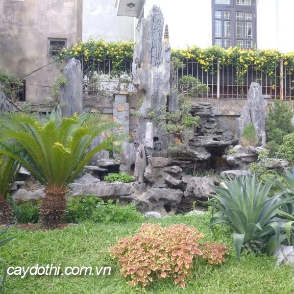 Sản phẩm Tiểu cảnh đá — Công Ty TNHH Cây Xanh Công Trình — MST 0601157679