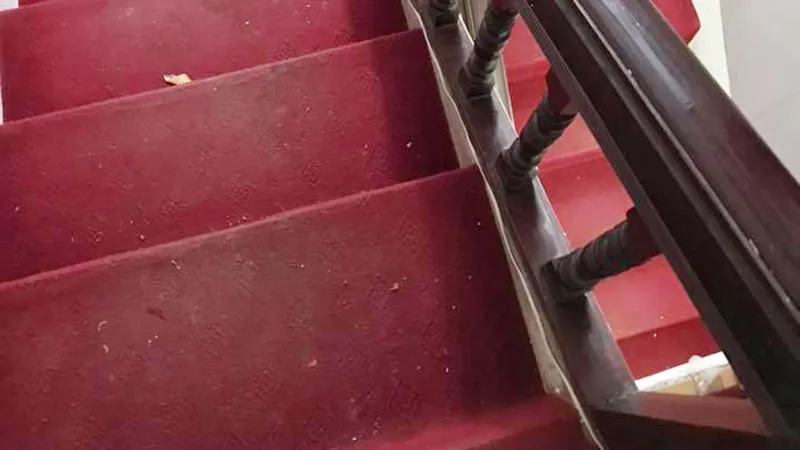 Sản phẩm gioi thieu dich vu giat tham tai nam dinh — Công Ty TNHH Đầu Tư Xây Dựng Và Phát Triển Dịch Vụ Vũ Duy — MST 0601160897