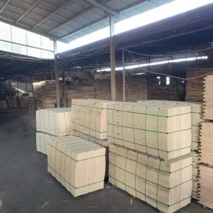 Sản phẩm z5011078659841_7f8d1d531f39e20fa5da6b87f471be56 300x300 — Công Ty TNHH Thương Mại Và Sản Xuất Hoàng Tú — MST 0601176022