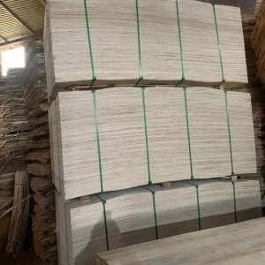 Sản phẩm z5011078682549_a7b0110006ccbe3f5a64c5525f7db870 300x300 — Công Ty TNHH Thương Mại Và Sản Xuất Hoàng Tú — MST 0601176022