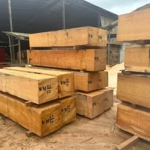 Sản phẩm z5011568154834_07101188c1697888dc96d3491af737a6 300x300 — Công Ty TNHH Thương Mại Và Sản Xuất Hoàng Tú — MST 0601176022