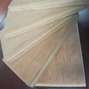 Sản phẩm z789436266083_03c80468694b4d30beef12bdf76bba43 450x450 1 300x300 — Công Ty TNHH Thương Mại Và Sản Xuất Hoàng Tú — MST 0601176022