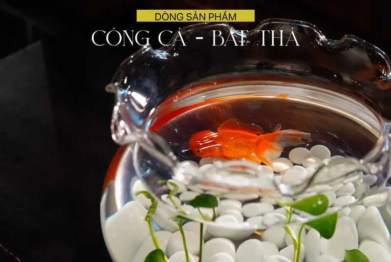 Sản phẩm CONGCA sao chép scaled — Thủy Tinh Thanh Xuân - Công Ty TNHH Thanh Xuân — MST 0700221501