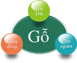 Sản phẩm edai — Sàn Gỗ EIDAI - Công Ty TNHH EIDAI Việt Nam — MST 0700534455
