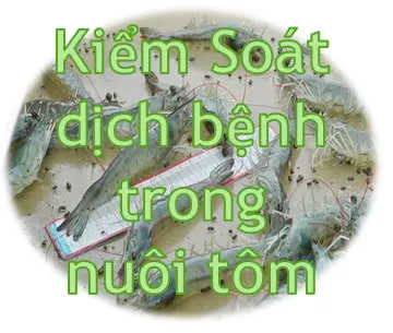 Sản phẩm z6504048541948 80ddd177e59cd0973fce5520fc954ffb — Khoáng Sản Bảo Thạch - Công Ty TNHH Khoáng Sản và Xây Dựng Bảo Thạch — MST 0700777419