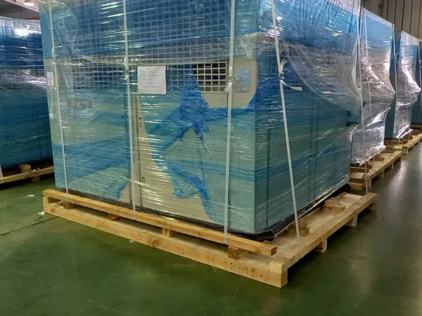 Sản phẩm z5881487746071_285e385af4afe1546894c706e756e4a0 — Pallet Gỗ NMS - Công Ty TNHH Công Nghệ Và Thương Mại NMS — MST 0700829466