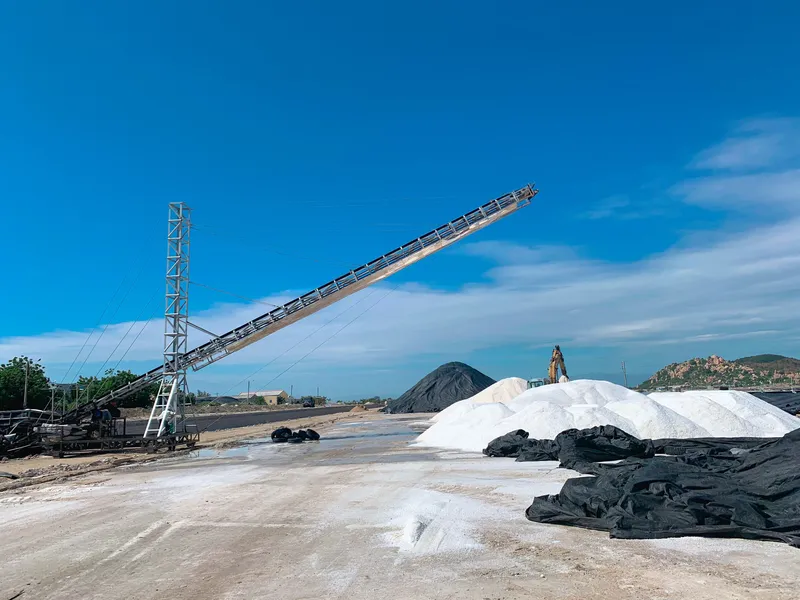 Sản phẩm bai muoi 3 — Công Ty TNHH Hồng Dương — MST 0800000922