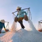 Sản phẩm muoi_ecix 0809 150x150 — Công Ty TNHH Hồng Dương — MST 0800000922
