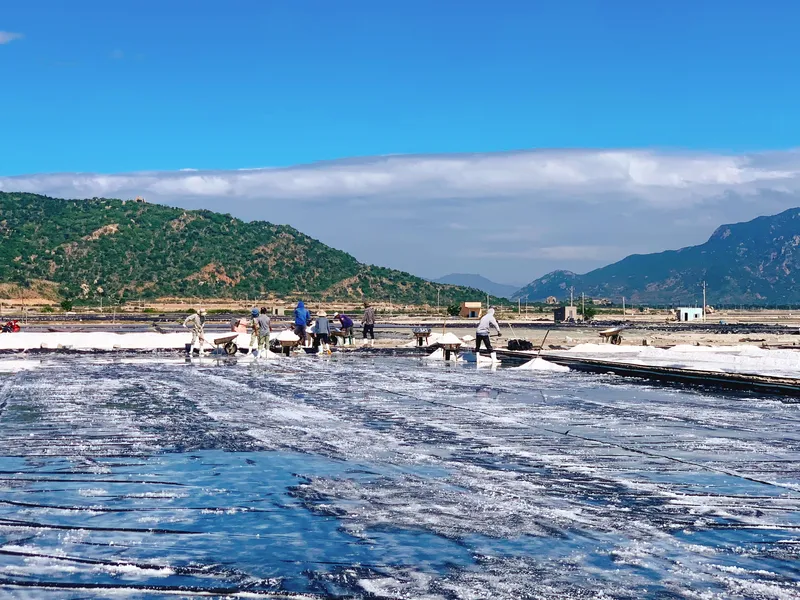 Sản phẩm ruong muoi 4 — Công Ty TNHH Hồng Dương — MST 0800000922