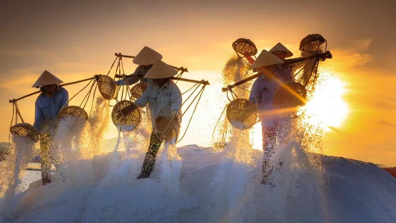 Sản phẩm worker 1024x576 — Công Ty TNHH Hồng Dương — MST 0800000922