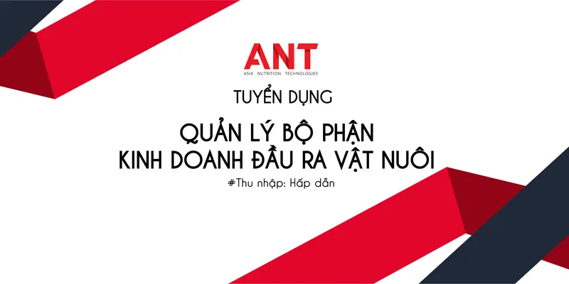Sản phẩm td 01 — Công Ty Trách Nhiệm Hữu Hạn ANT (HN) — MST 0800274232
