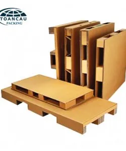 Sản phẩm 5a 250x300 — Bao Bì Toàn Cầu - Công Ty Cổ Phần Bao Bì Toàn Cầu — MST 0800340291