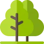 Sản phẩm forest 90x90 — Công Ty Cổ Phần Quản Lý Công Trình Đô Thị Hải Dương — MST 0800364888