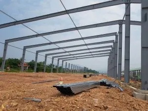 Sản phẩm 20160923_104018 300x225 — Công Ty TNHH Long Thành Hải — MST 0800383312
