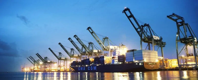 Sản phẩm diem sang — Công Ty TNHH DHQ — MST 0800455327