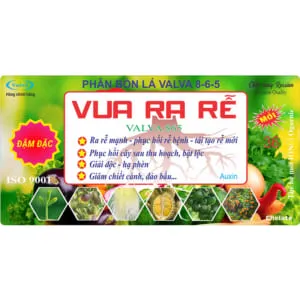 Sản phẩm 36 L COVER 300x300 — Công Ty TNHH Valva — MST 0800821037