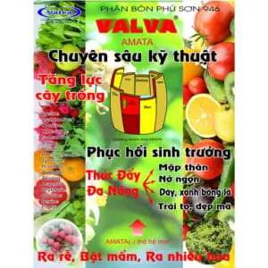 Sản phẩm AMATAlam truc in 300x300 — Công Ty TNHH Valva — MST 0800821037
