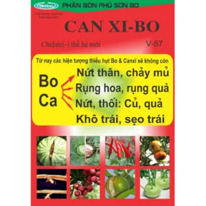 Sản phẩm Can xi v 57 2019 cover 300x300 — Công Ty TNHH Valva — MST 0800821037