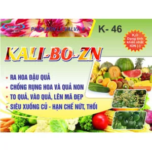 Sản phẩm K 46 KT 120 160 300x300 — Công Ty TNHH Valva — MST 0800821037