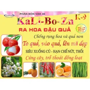 Sản phẩm K 9 cover 300x300 — Công Ty TNHH Valva — MST 0800821037