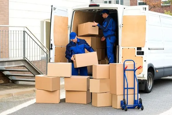 Sản phẩm 525984686178900 2 — Công Ty Cổ Phần Cung ứng Và Đào Tạo Nhân Lực Việt Nam — MST 0800830659