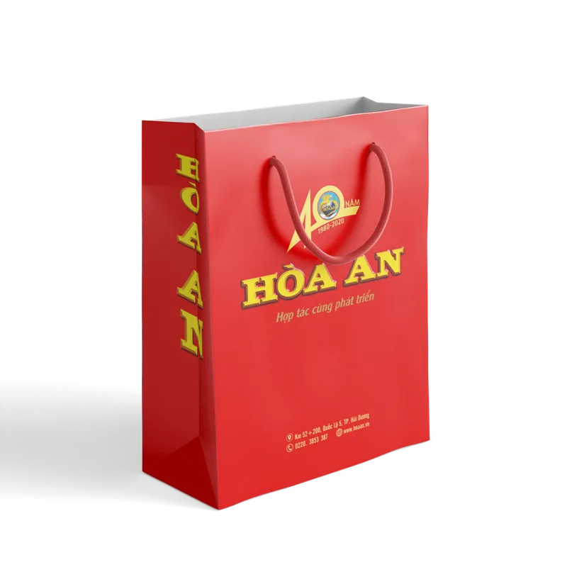 Sản phẩm tui giay  1024x1024 — Công Ty Cổ Phần In Hòa An — MST 0800845493