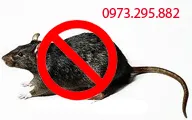 Văn phòng Diệt Mối Khai Phong - Công Ty TNHH SX TM Và DV Khai Phong #? — MST 0800900497