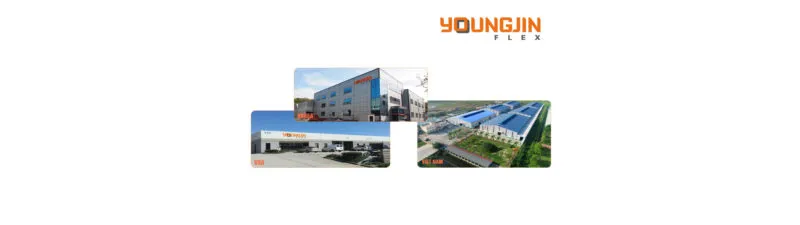 Sản phẩm HINH DAI dien neww 800x225 — Công Ty TNHH YoungJin Vina Flex Việt Nam — MST 0800923631