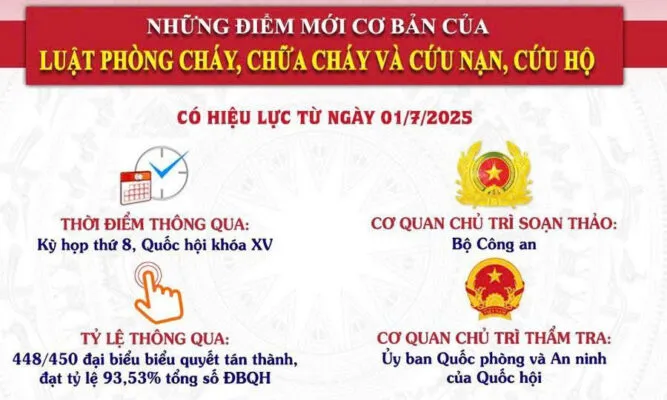 Sản phẩm z7143436877978_a79bbc3ea5af3abfebaca99400ab80f4 667x400 — Công Ty TNHH YoungJin Vina Flex Việt Nam — MST 0800923631
