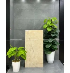 Sản phẩm gach an do hp12_67e0619f380d4 245x254 — Công Ty TNHH Xây Dựng Hoàn Thiện Hồng Phúc — MST 0801096303
