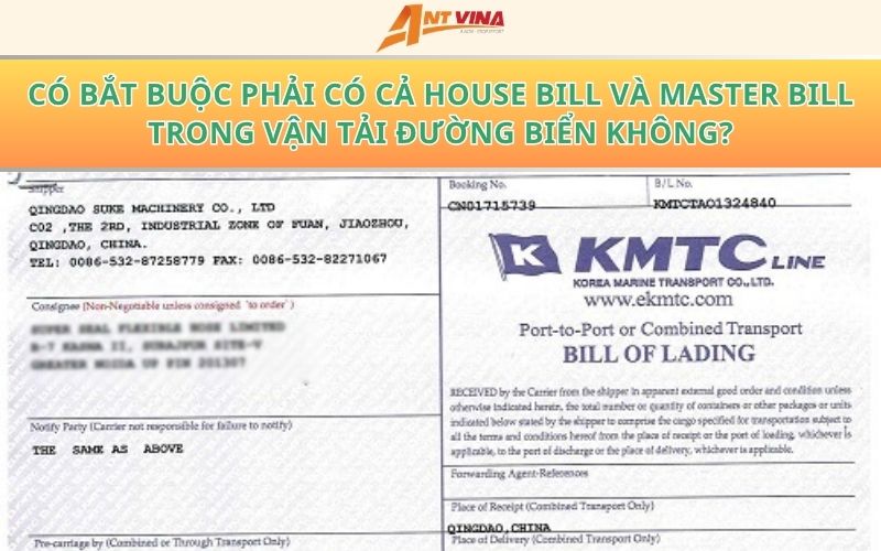 Sản phẩm xhouse bill va master bill 4.jpg.pagespeed.ic.vB2lDzrRYy — Công Ty TNHH Ant Vina — MST 0801145335