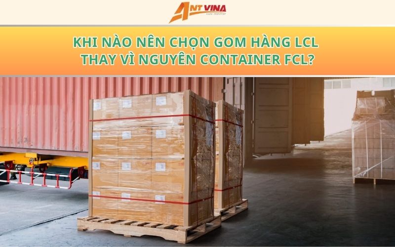 Sản phẩm xkhi nao nen chon gom hang lcl.jpg.pagespeed.ic.zMXs3Mell0 — Công Ty TNHH Ant Vina — MST 0801145335