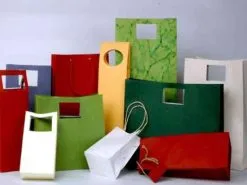 Sản phẩm in tui giay ban hang 247x185 — In NSP - Công Ty TNHH Công Nghệ Và In NSP — MST 0801149202