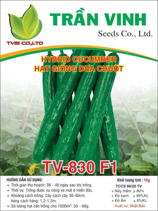 Sản phẩm hinh_anh_dua_leo_tv830 — Công Ty TNHH MTV Xuất Nhập Khẩu Trần Vinh — MST 0801175925