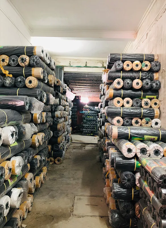 Sản phẩm mangphu 02 — Công Ty TNHH MTV Xuất Nhập Khẩu Trần Vinh — MST 0801175925