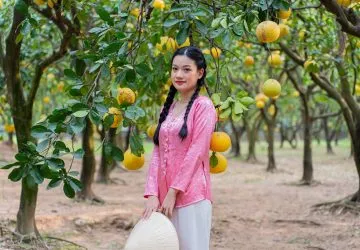 Sản phẩm DSC09834 1733281231 e1735041482750 360x250 — Màng PE B&G Việt Nam - Công Ty Cổ Phần Quốc Tế B&G Việt Nam — MST 0801220624